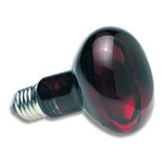 Terrarium Heat Lamps & Mats